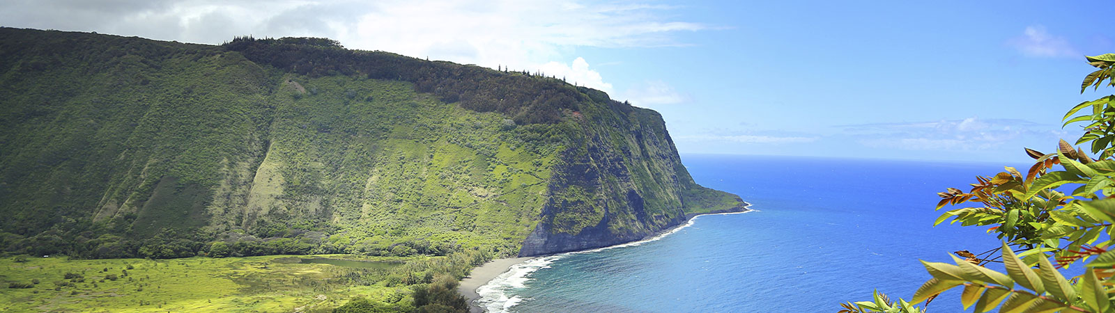aerial view of hawaii