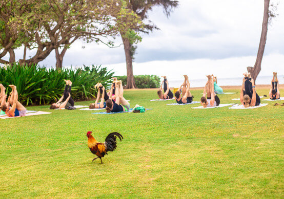 group of people performing yoga with ocean front view 