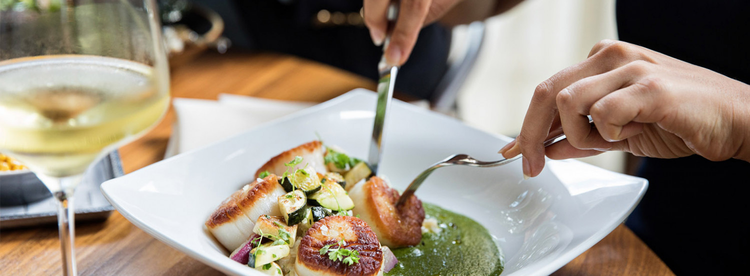 scallops in a dish