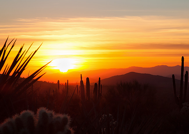 inset-Sunset with cactus silhouettes 