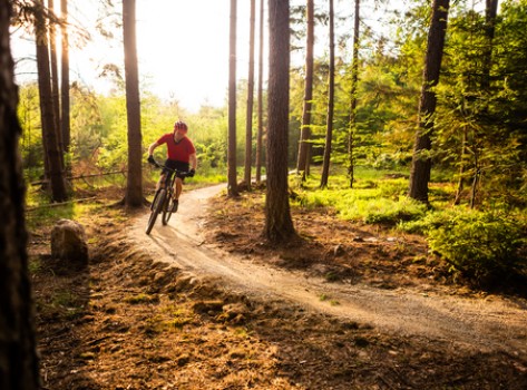 mountain biking in the woods
