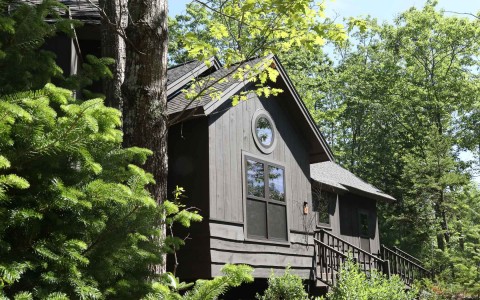 exterior of treetop accommodation with trees surrounding it