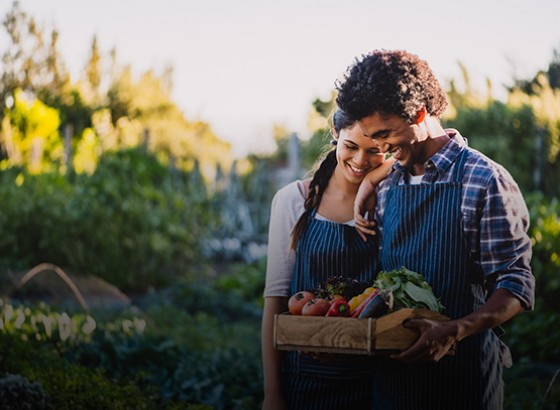 couple vegetable picking in a garden