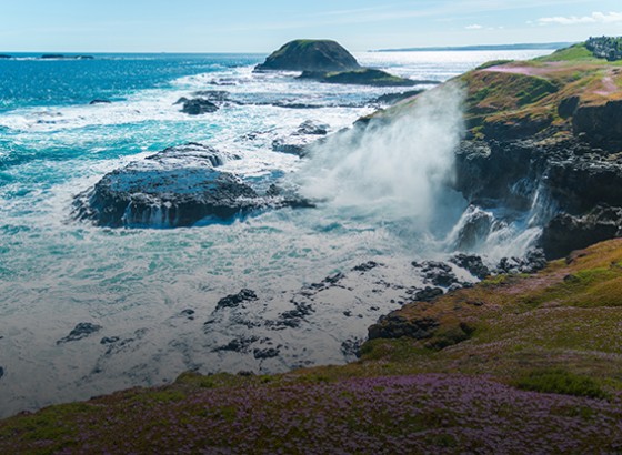 waves crashing against rocks at the beach