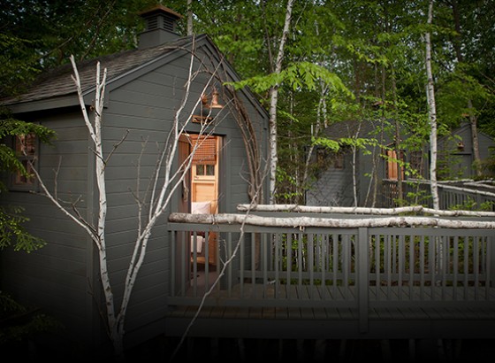 exterior of spa treatment rooms in the treetops
