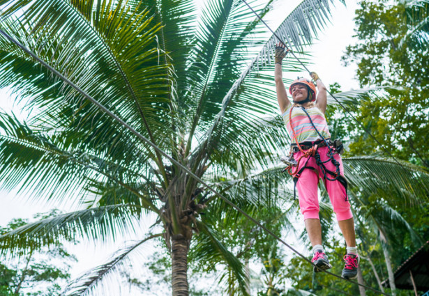 ziplineamongpalmtrees