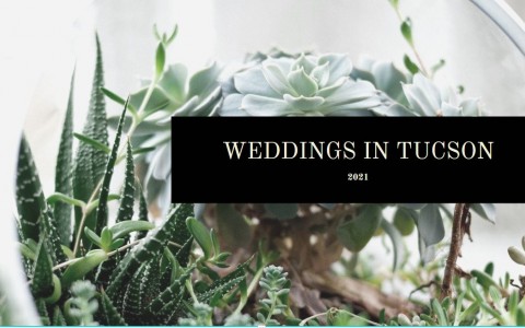 weddings in tucson writing over a succulent back drop 