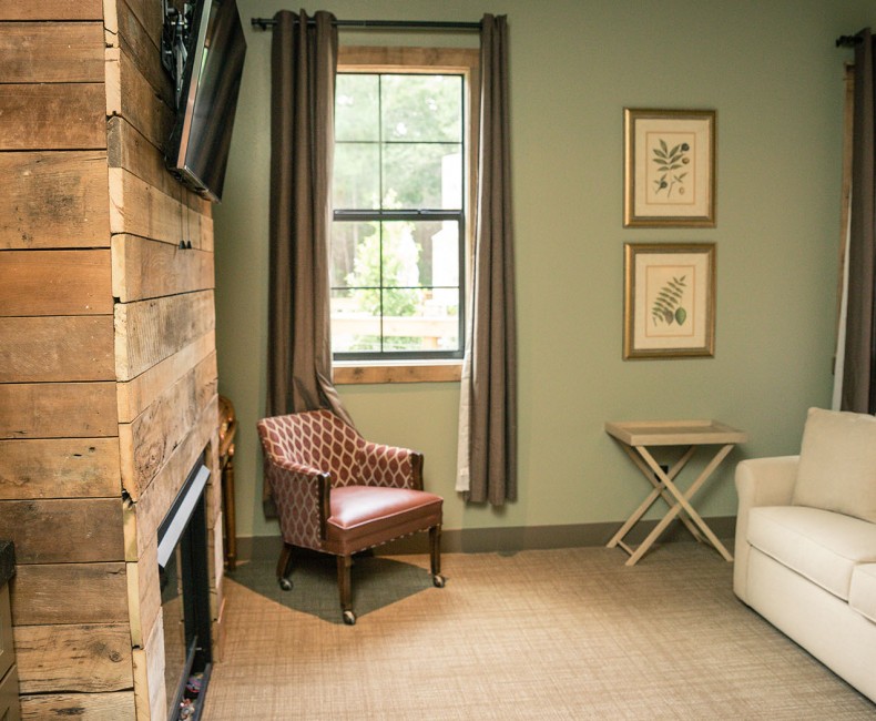 lounge chair and pull out couch