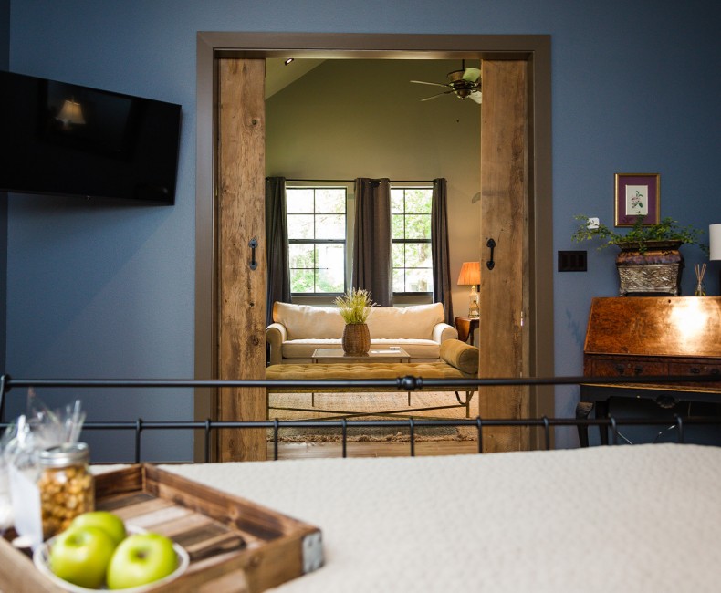 view from bedroom out to the living room with barn doors open