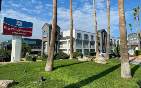 hotel entrance with tall palm trees and green lawn