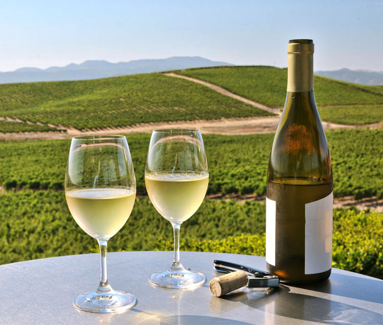 View of green fields with two wine glasses and wine bottle