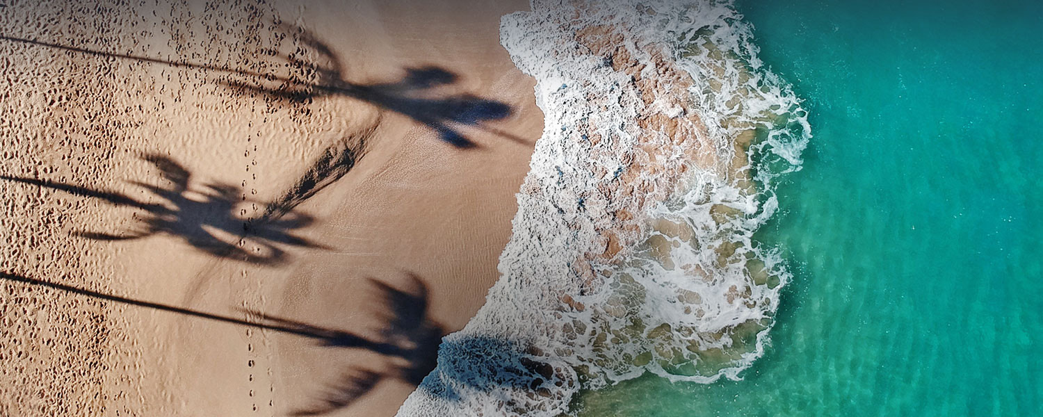 Aerial view of the turquoise see and the beach with palm trees shadows reflecting on sand