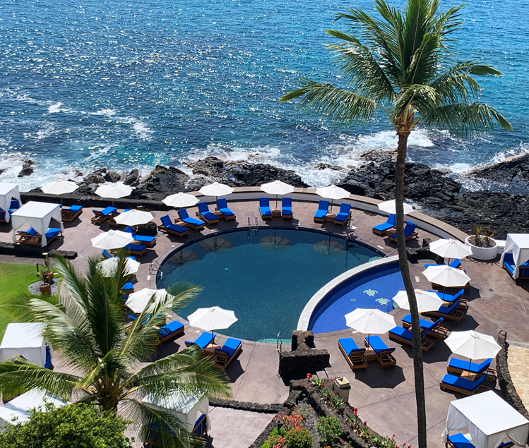 Aerial view of the hotel, palm trees and some cottages