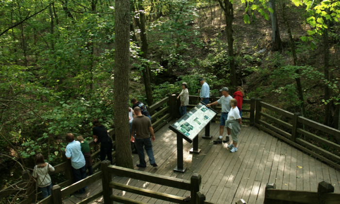 Rock-Bridge-Memorial-State-Park.png