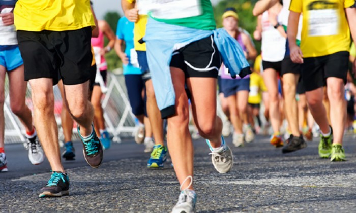 thanksgiving-race-5641302583f24.jpg