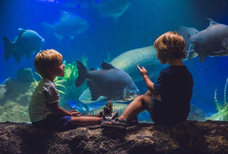 aquarium kids