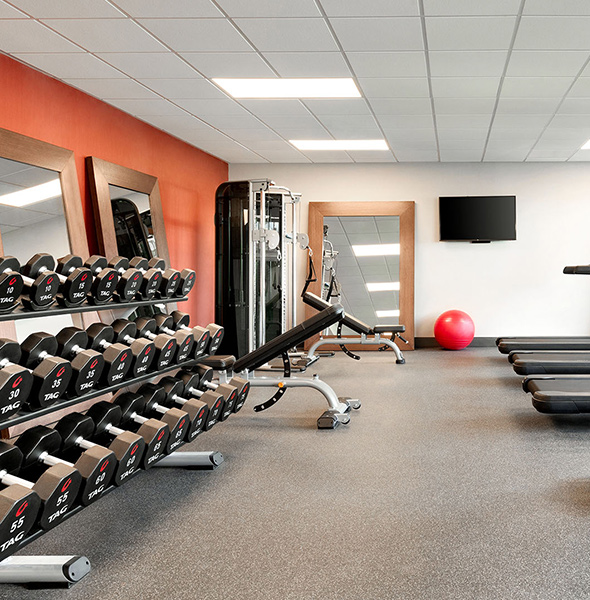 the fitness room with weights and treadmills