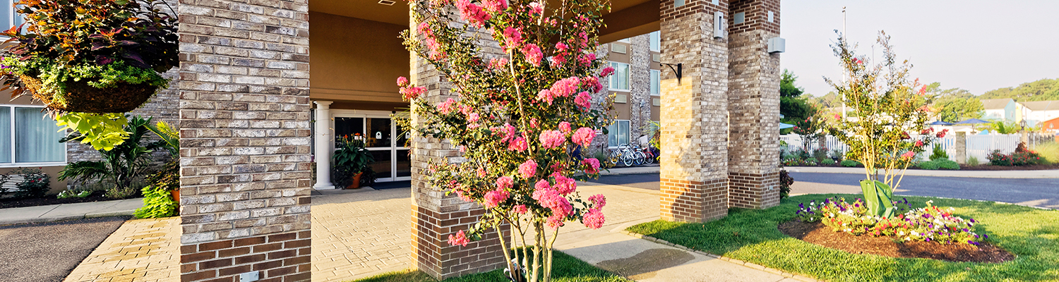 outside view of the building of property with some flowers and grass around it