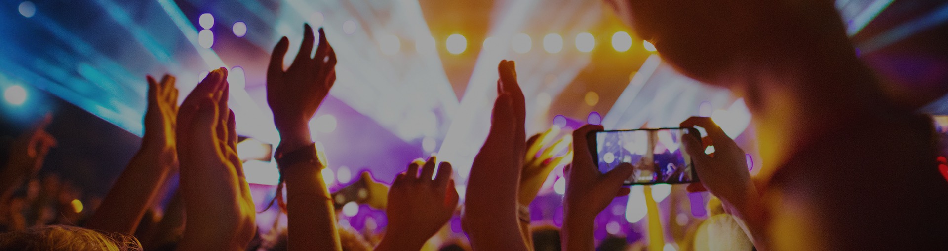 People at concert