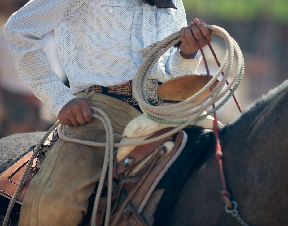man sitting on a horse holding a lasso