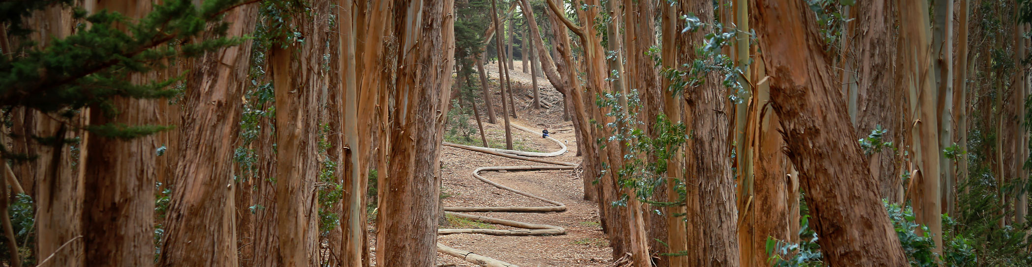 OUR COMMITMENT TO ENVIRONMENTAL SUSTAINABILITY