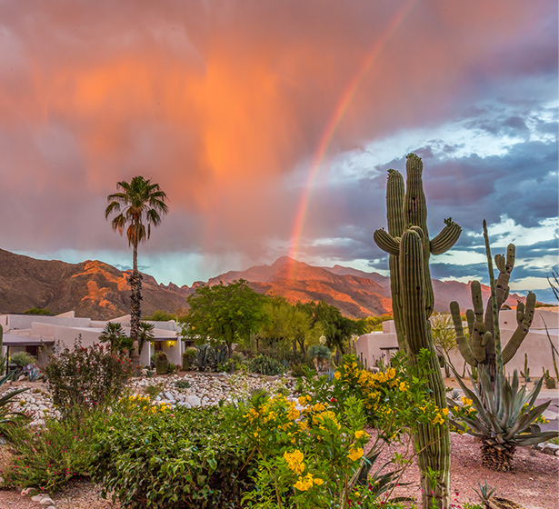 TUCSON, AZ