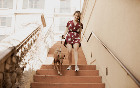 Female walking her dog down the stairs outdoors at hotel