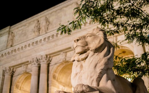 view of a lion statue 