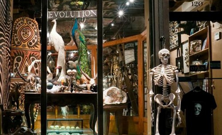 Evolution store front