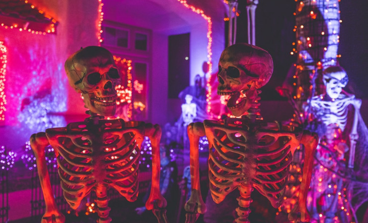 halloween skeletons