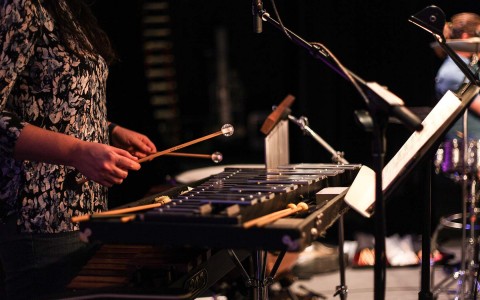 Close up of a person playing the xylophone 
