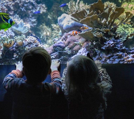 indigo baltimore aquarium landing page img3
