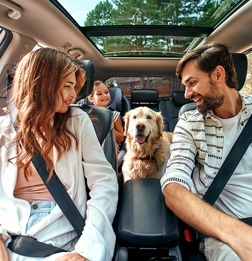 a family of a mom, dad, daughter, and dog in a car with their seatbelts on