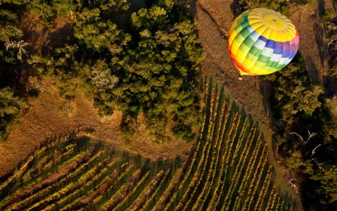 aerial view of hot air balloon over napa's beautiful scenery 