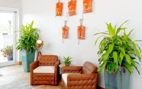 seating area between two planters with green leafy plants