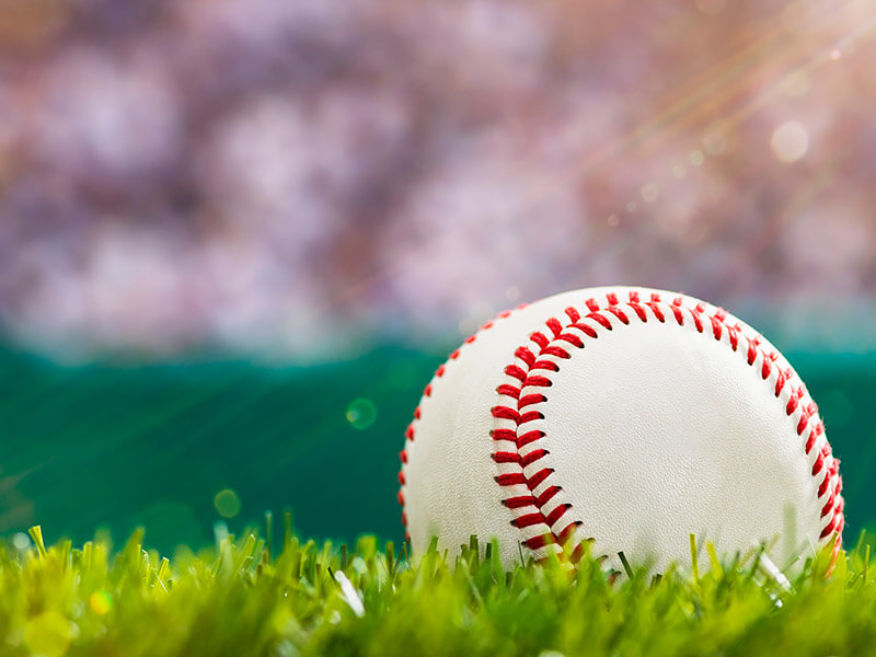 baseball laying in green grass