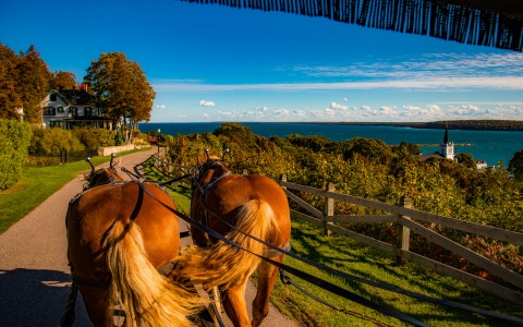 carriageride