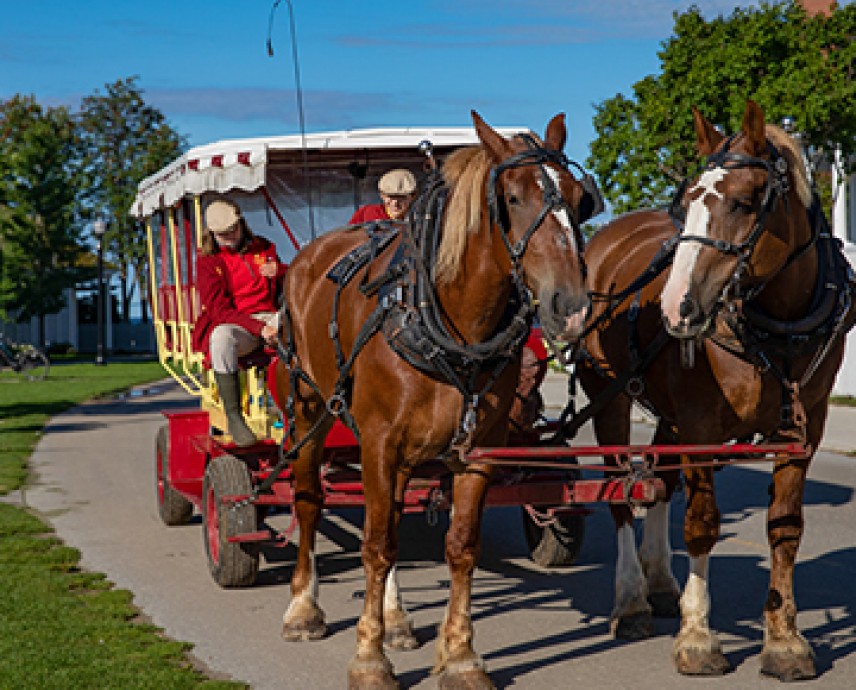 2 brown horses pulling a man in a red carriage