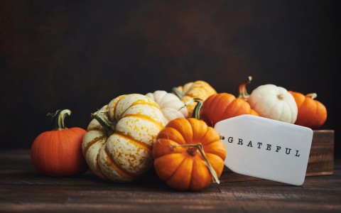 mini pumpkins with grateful tag
