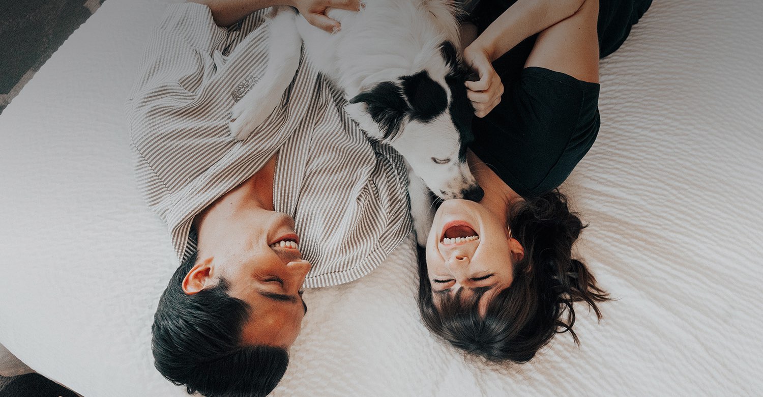 Couple in bed with dog