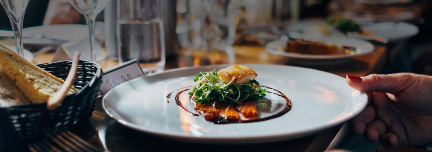 plated dish of seared fish on top of bed of greens with sauce drizzled on plate
