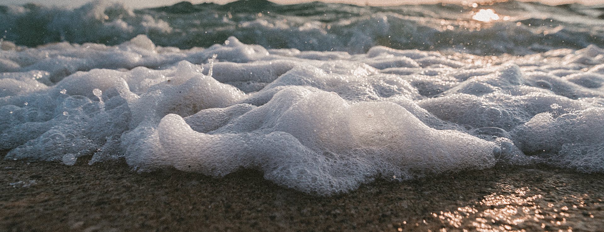 sea foam at the edge of the water on the shore