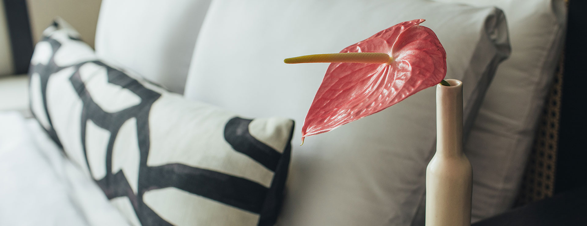 red flower agains white pillows
