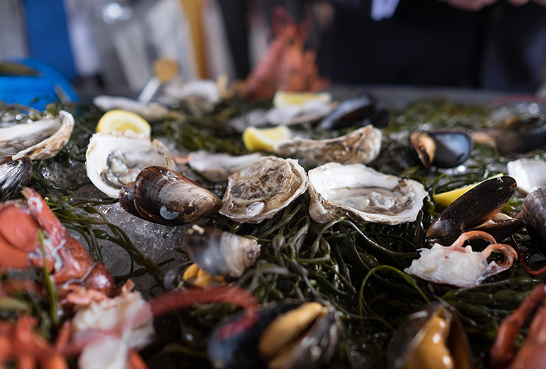 close up view to oysters