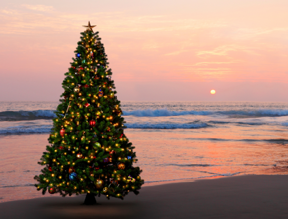 christmas tree on beach with sunset in back