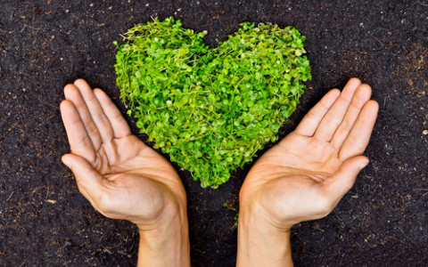 hands holding heart shaped greens