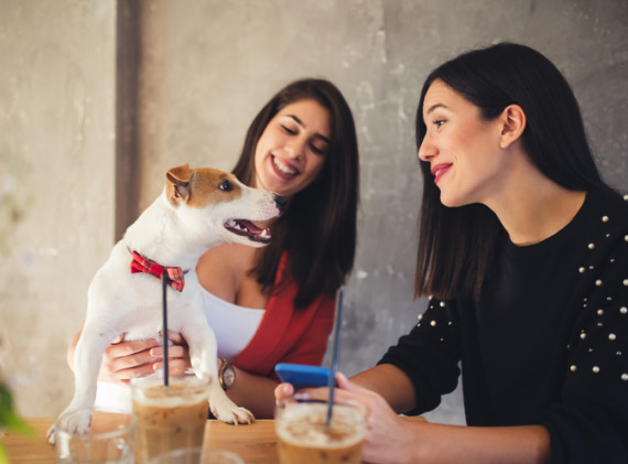 women at a table with their drinks and dog