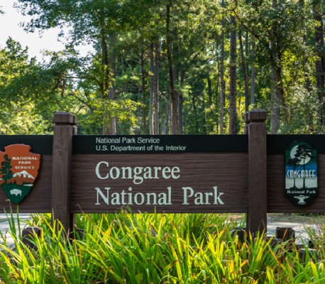 congaree national park