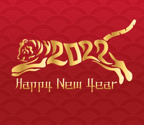 tiger chinese year