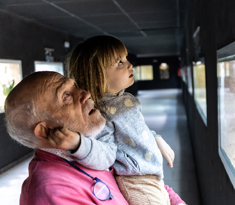 a grandfather and a female child looking through zoo windows